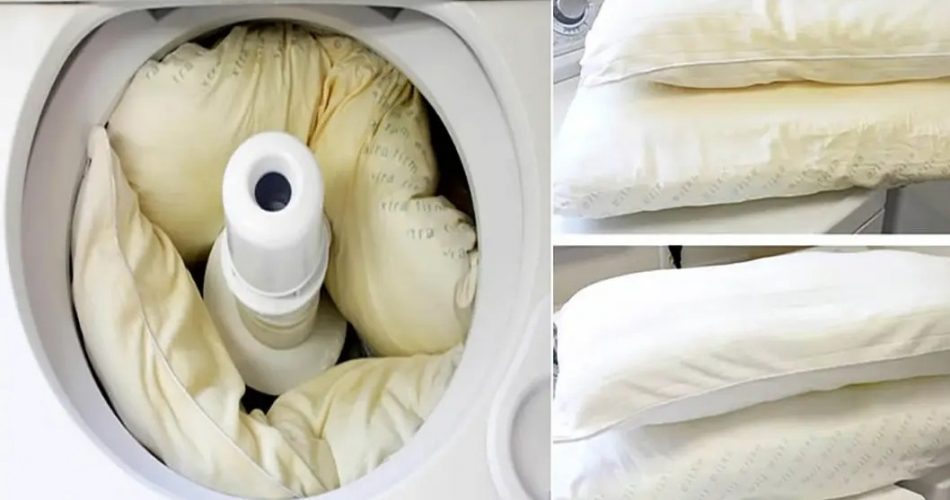 Cómo Lavar Almohadas Amarillentas: 3 Consejos para Dejarlas Blancas Como Nuevas