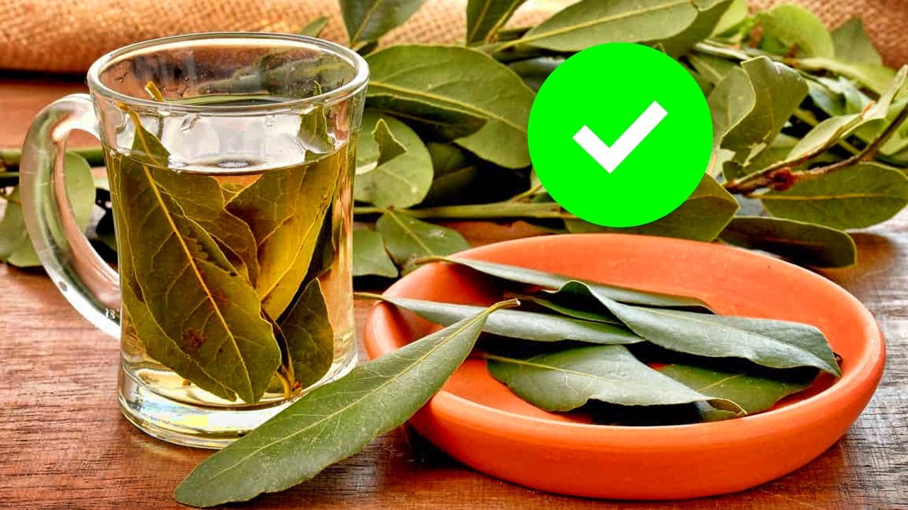 Beneficios del té de hojas de laurel y cómo prepararlo.