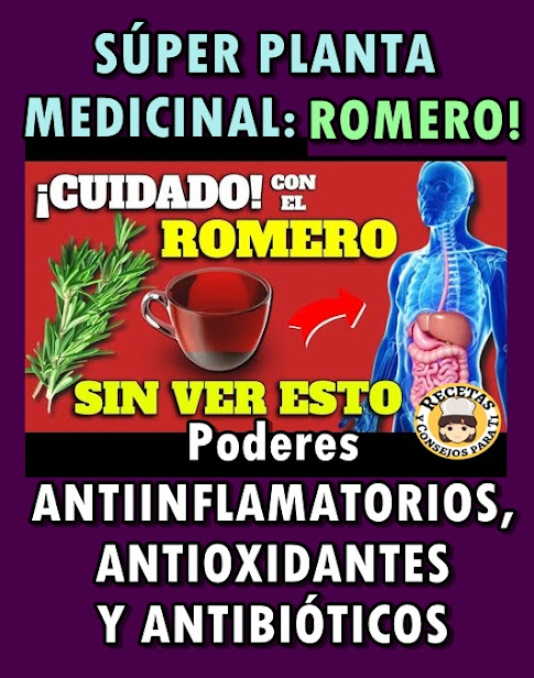 ¡ROMERO!: SÚPER PLANTA MEDICINAL con PODERES ANTIINFLAMATORIOS, ANTIOXIDANTES Y ANTIBIÓTICOS
